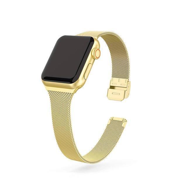 The Dexter Mesh Steel Buckle Clasp Apple Watch Bands Viva Timepiece Gold For iWatch 38 40 41mm  - 42321017-gold-for-38mm-and-40mm